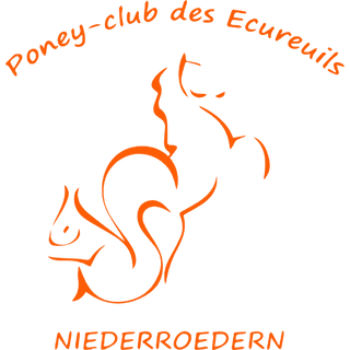 Logo Poney club des écureuils